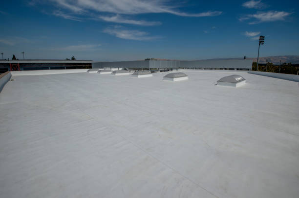 Best Rubber Roofing (EPDM, TPO)  in Ammon, ID