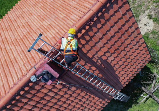 Best Roof Insulation Installation  in Ammon, ID