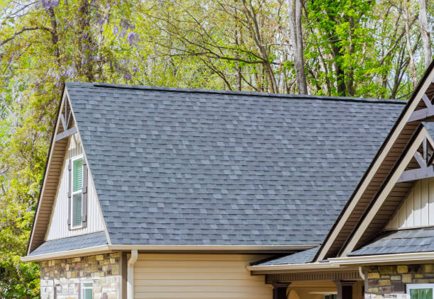 Best Roof Moss and Algae Removal  in Ammon, ID