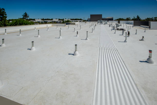 Best Asphalt Shingle Roofing  in Ammon, ID